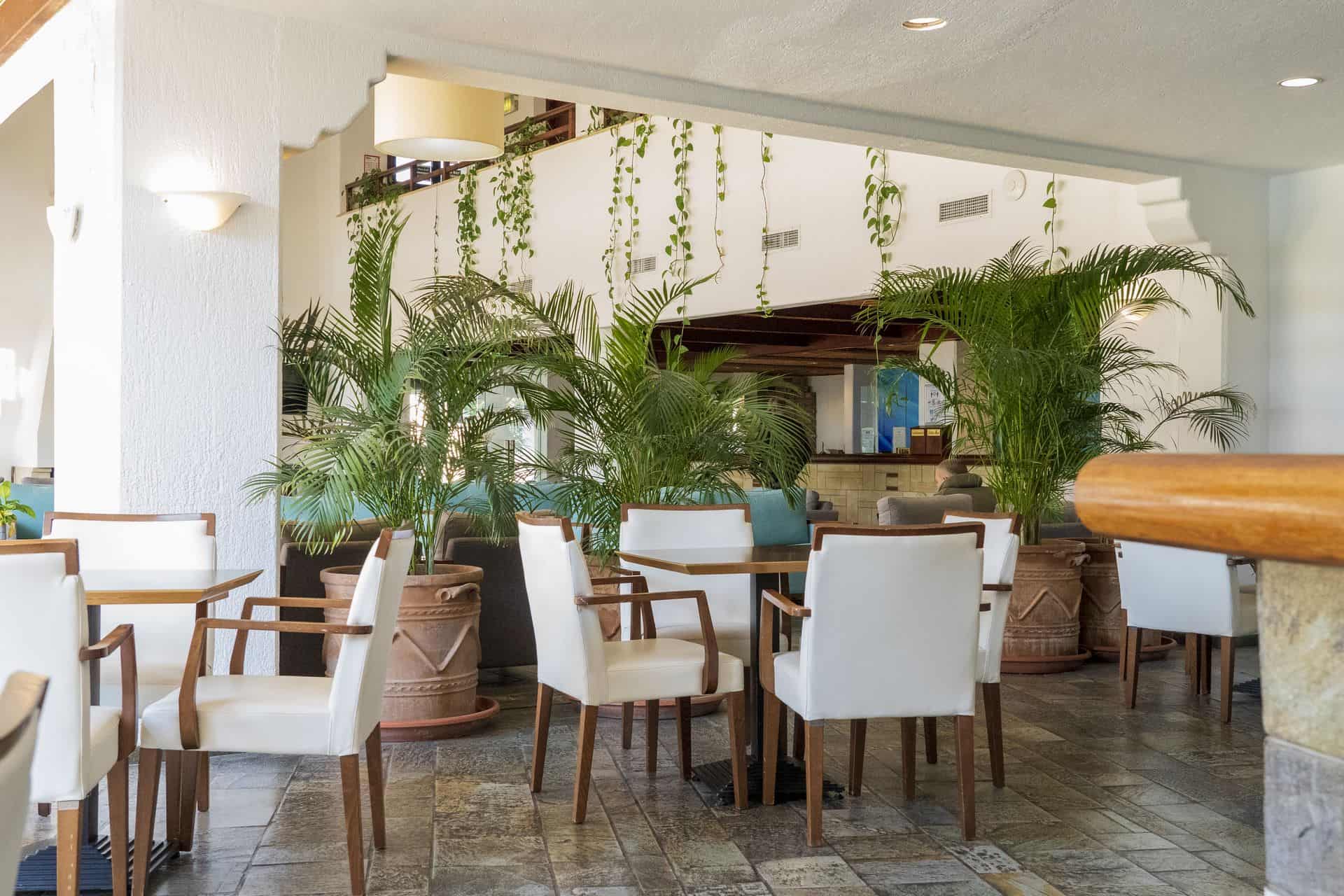 Paphos Gardens Holiday Resort-Lobby bar.jpg