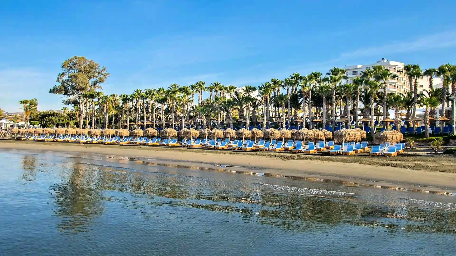 GrandResort by Leonardo Hotels-Plaza.jpg