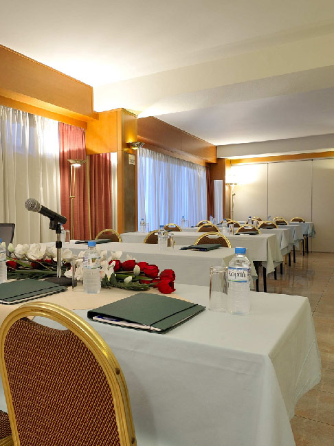 Hotel Esperia conference room.jpg