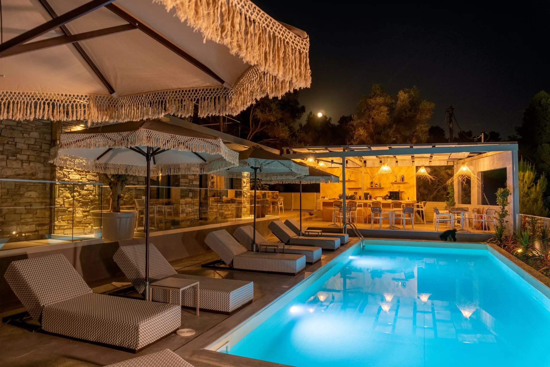Casa Bloo Adults Only-Nocni izgled.jpg