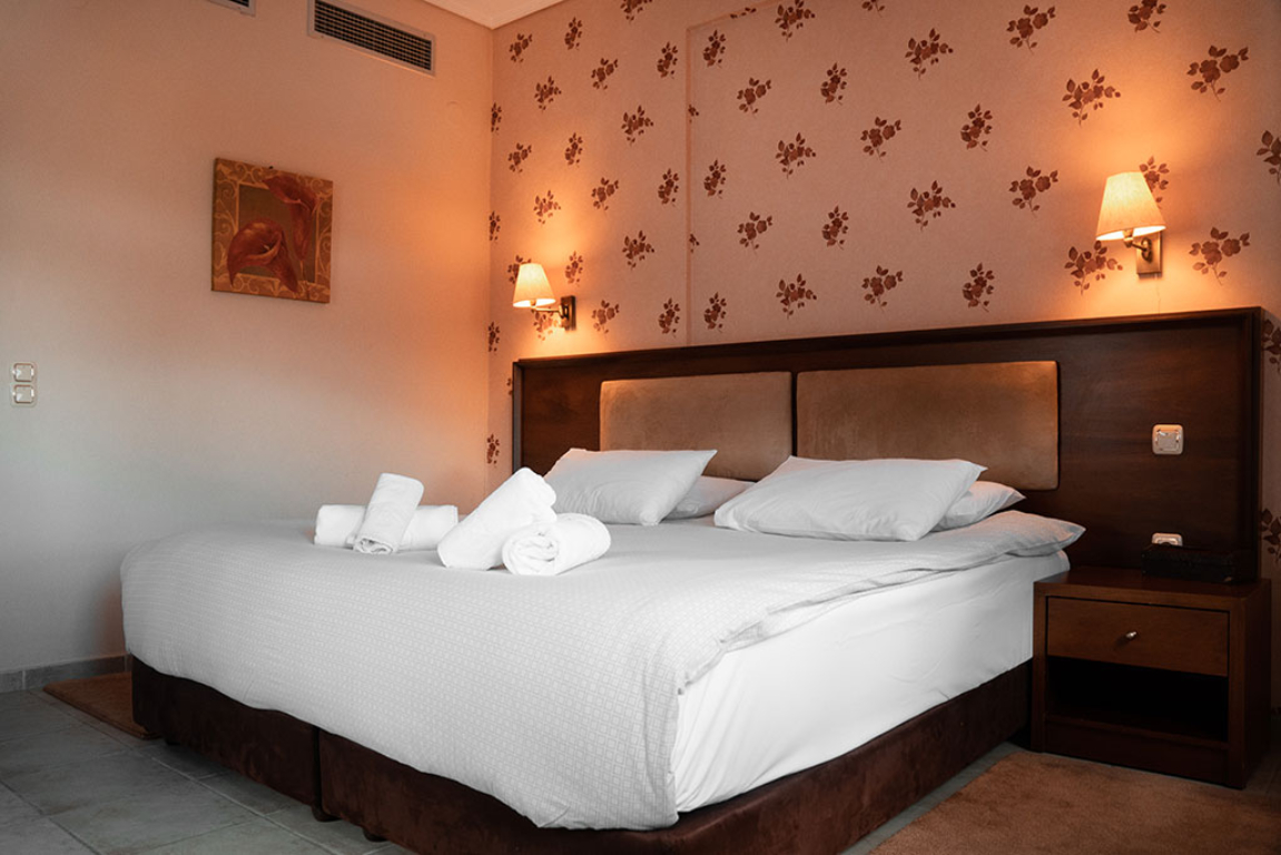Hotel Pelion Resort- standradna soba.jpg