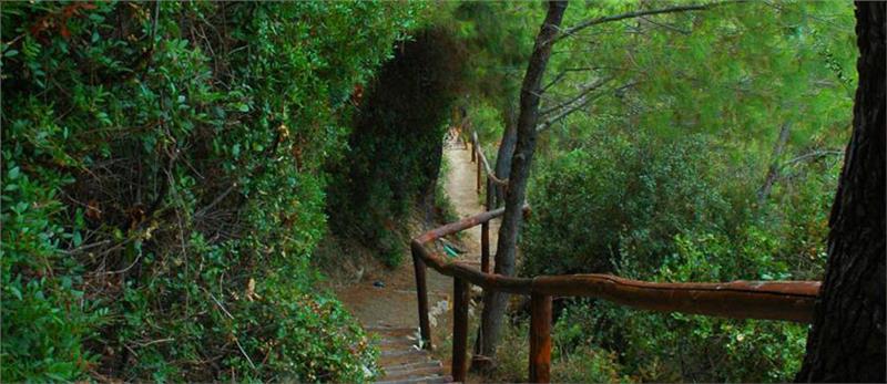 Hotel Evripidis way to the beach.jpg