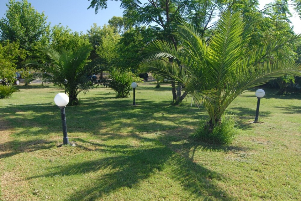 Hotel Golden Beach Preveza garden 1.jpg