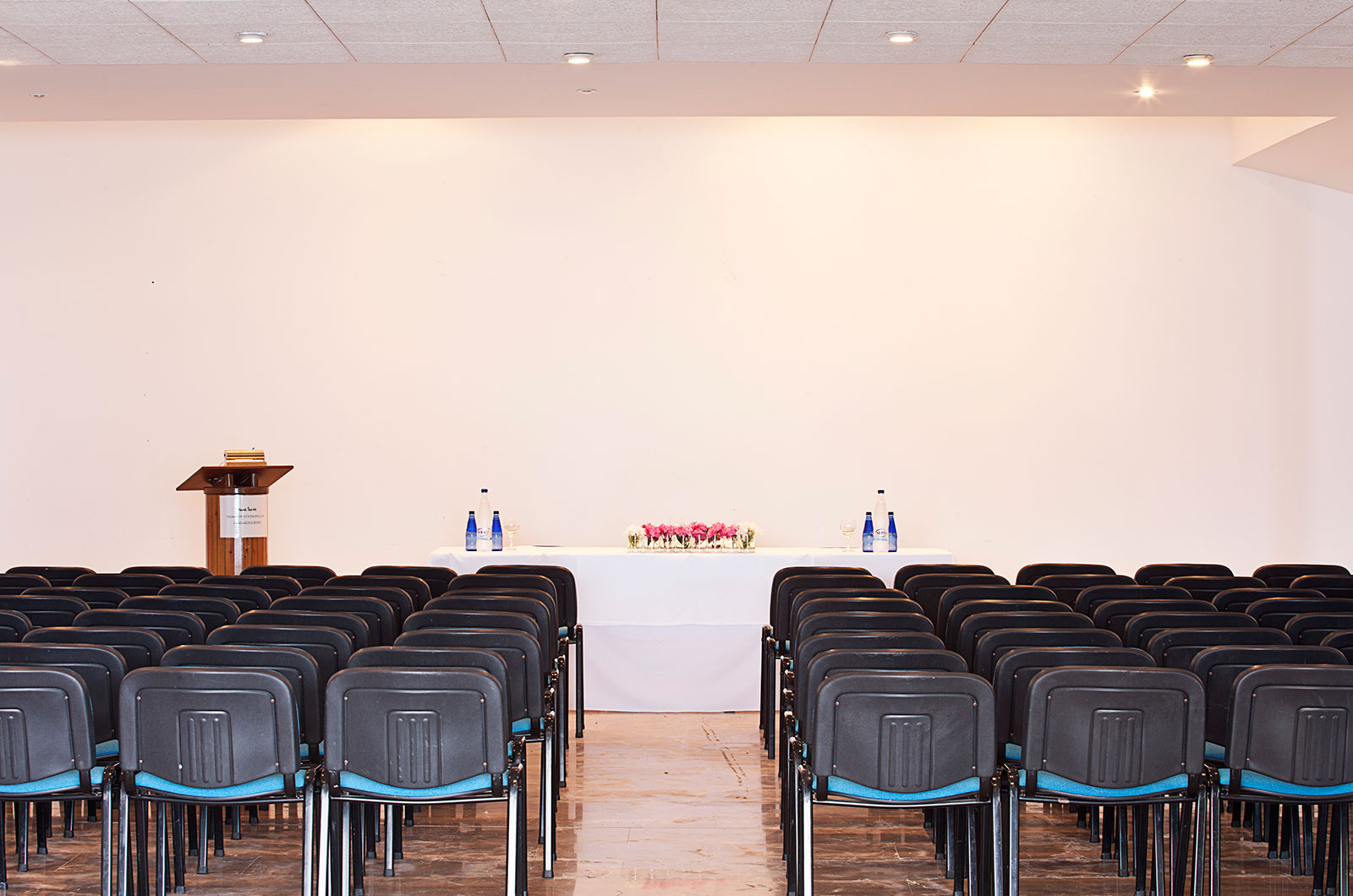 Hotel Kalamaki Beach Resort conference room.jpg