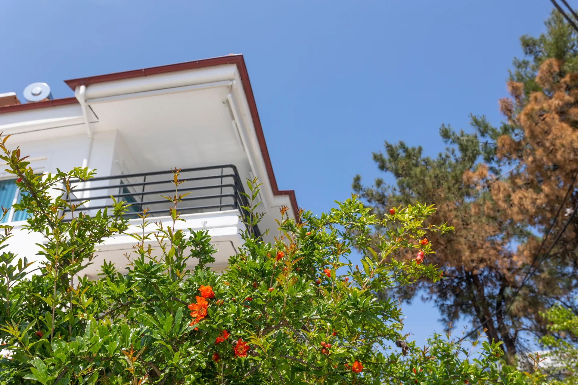 Anastasia Apartments & Studios-Zgrada hotela.jpg