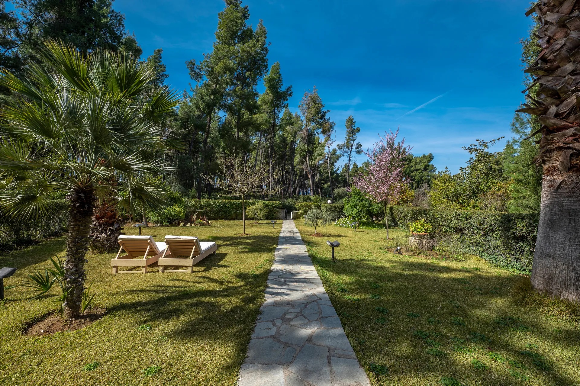NG Sani VIllas-Pine vila basta.jpg