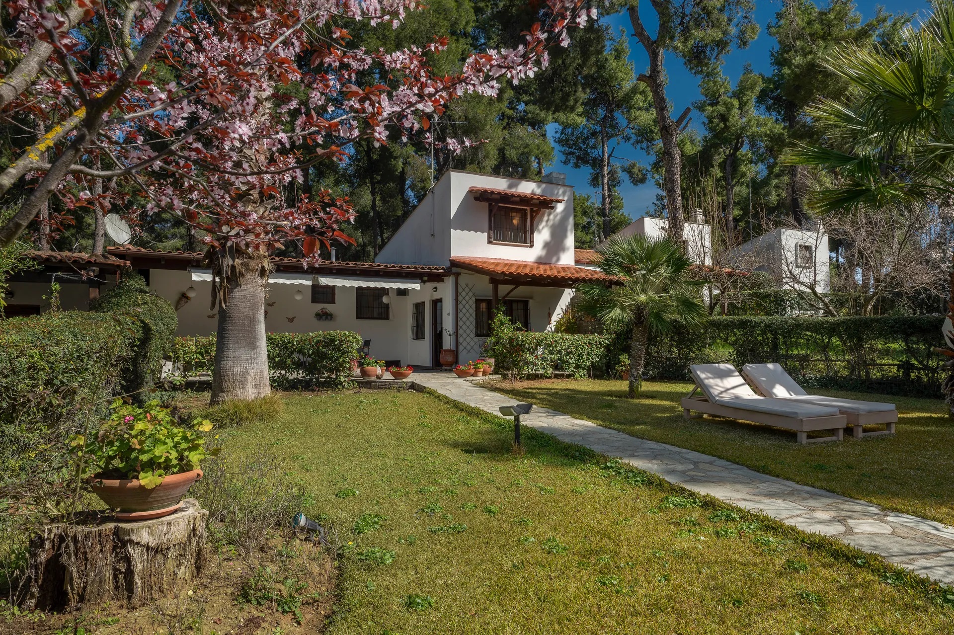 NG Sani Villas-Pine vila.jpg