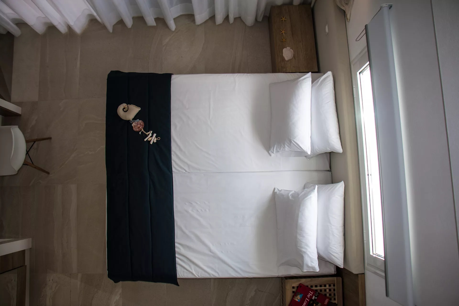 Aristotelia Gi-Loft.jpg