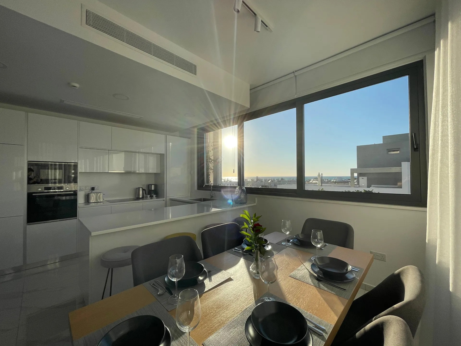 Downtown Park-Executive trosoban apartman.jpg