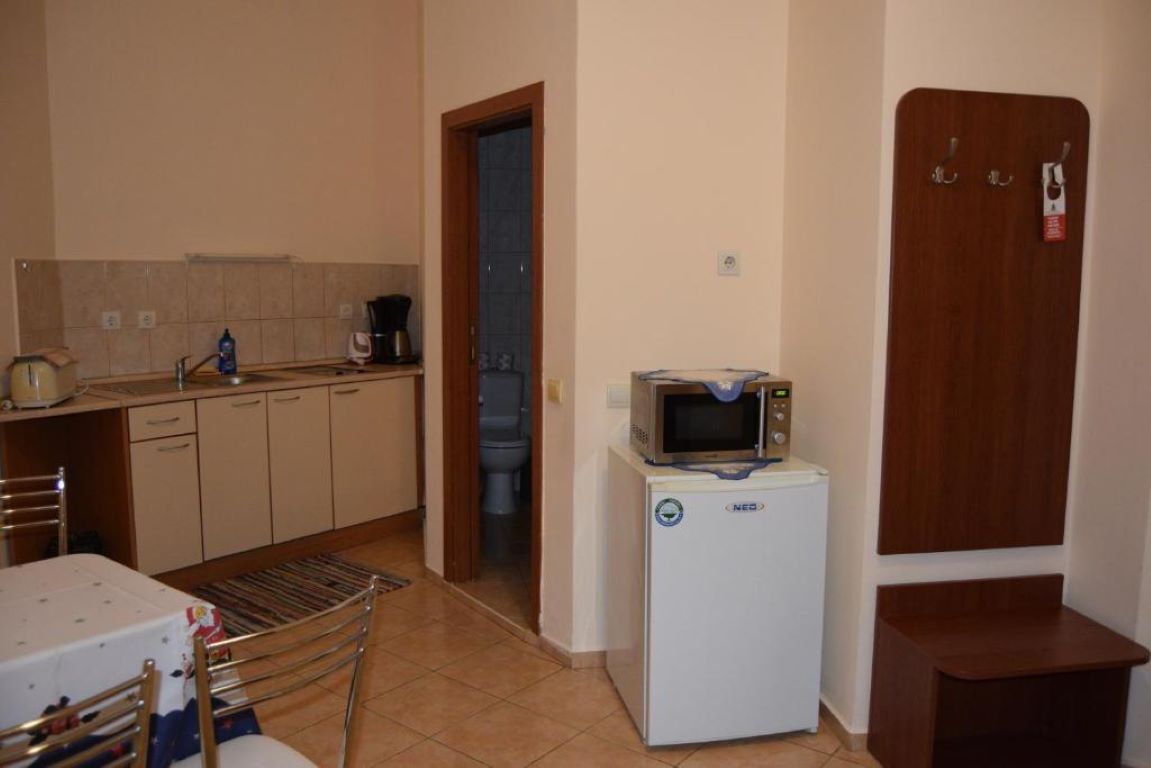 Flora Persay Apartments-Studio Large kuhinja.jpg