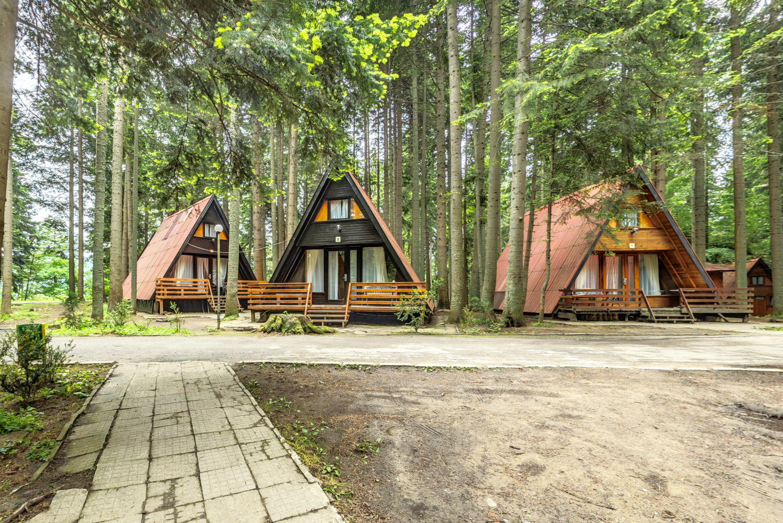 Malina Villas-Vile leti.jpg