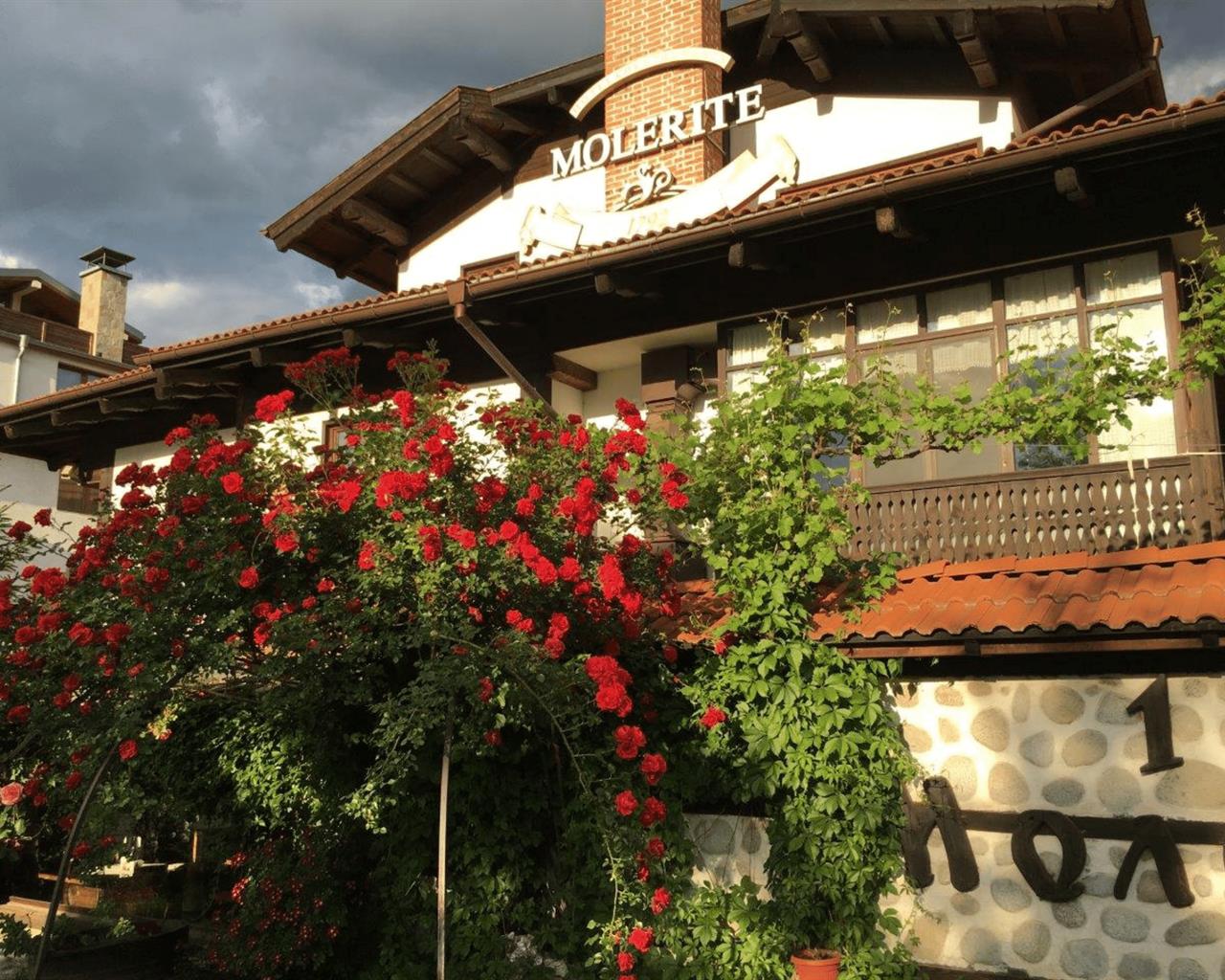 Molerite Hotel-Ulaz.jpg