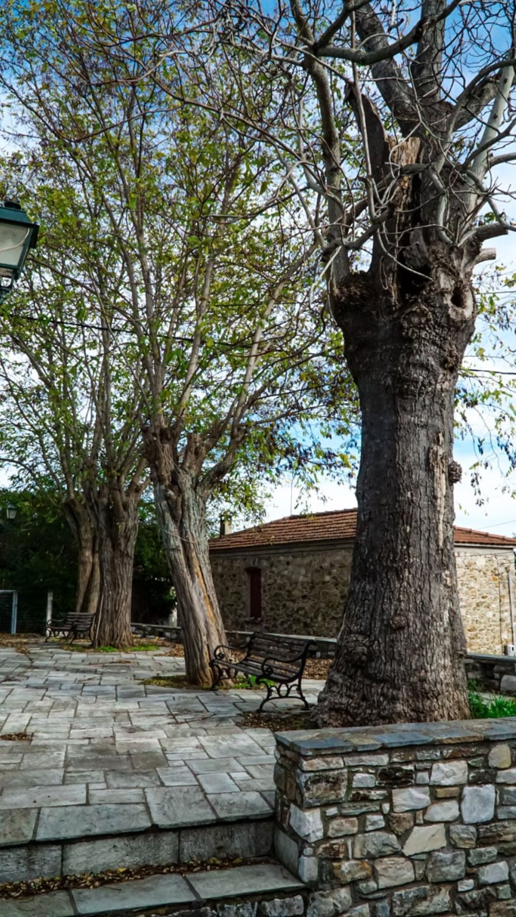Dandy Villas Vintage Cottage House-Pogled na okolinu.jpg