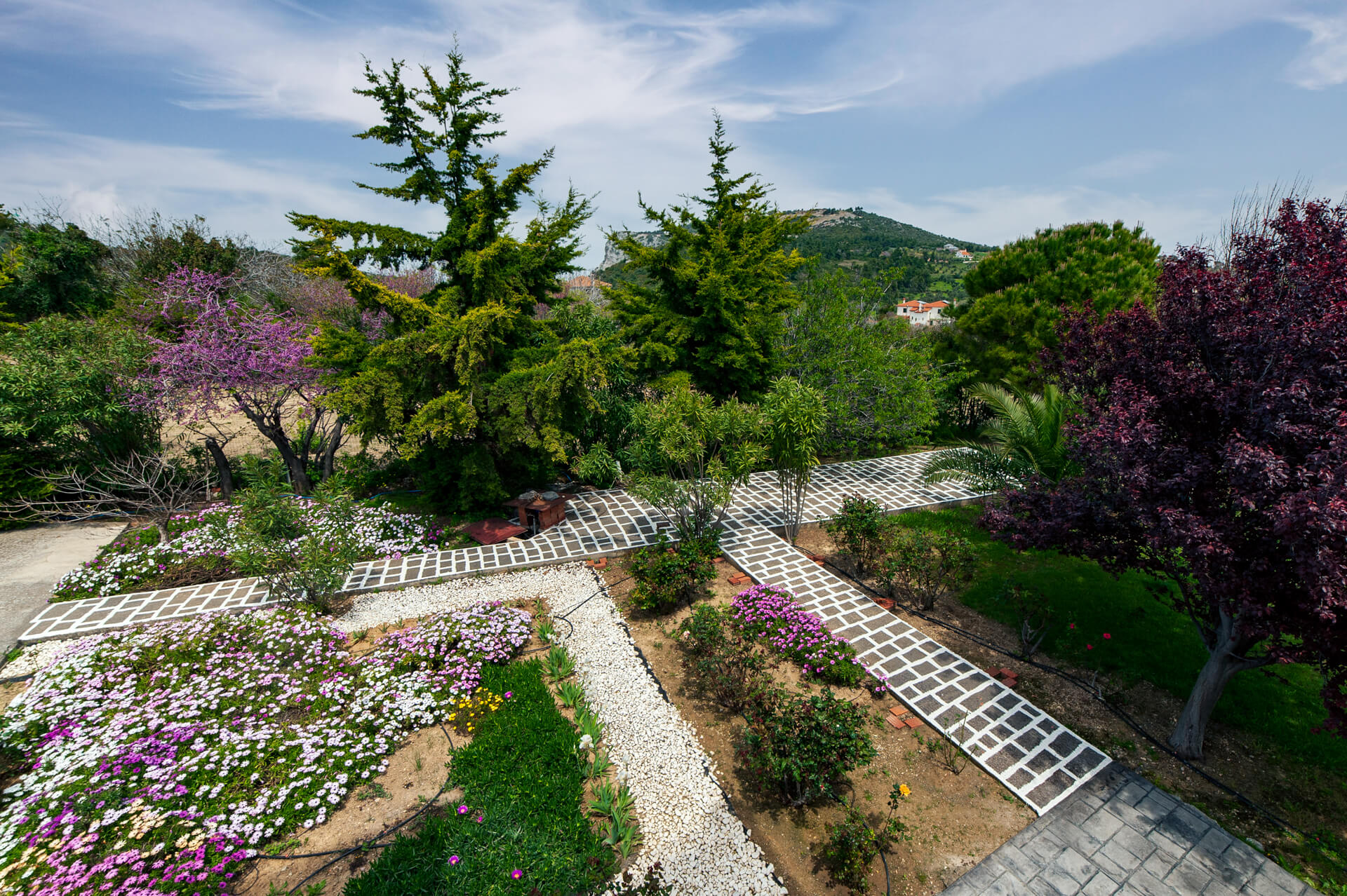 Villa Serenity-Basta vile.jpg