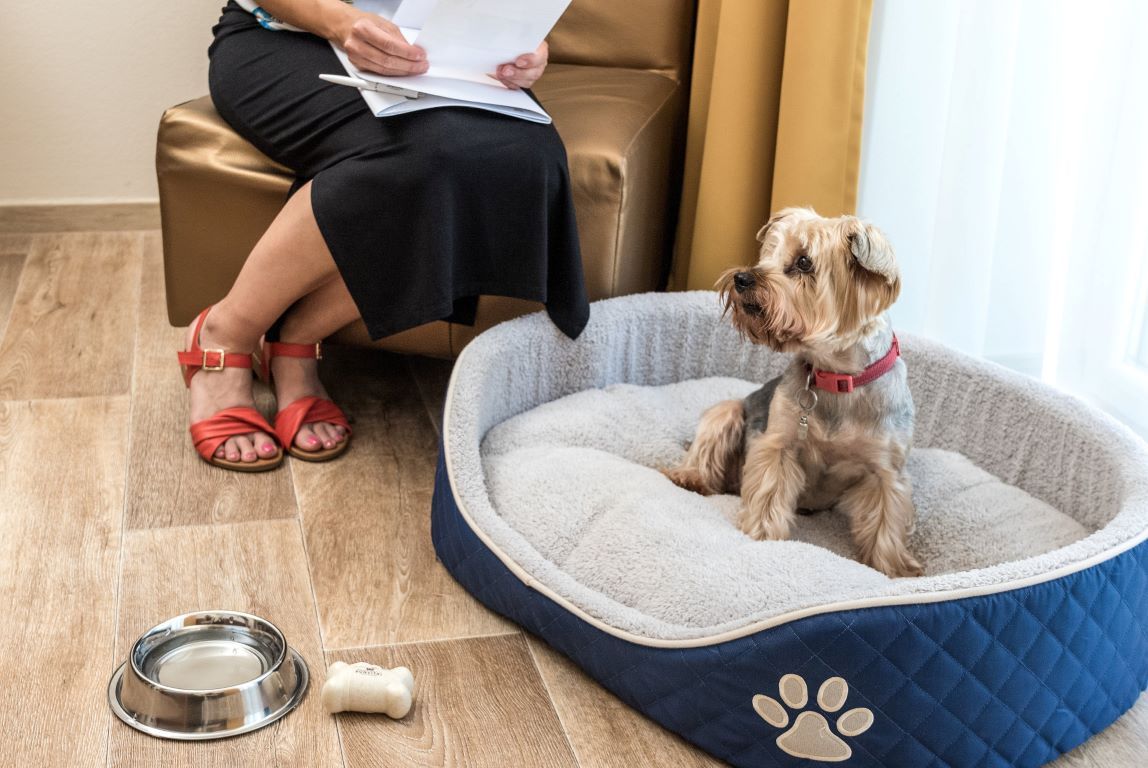 Bonvital Wellness & Gastro Hotel Heviz-Pet friendly.jpg