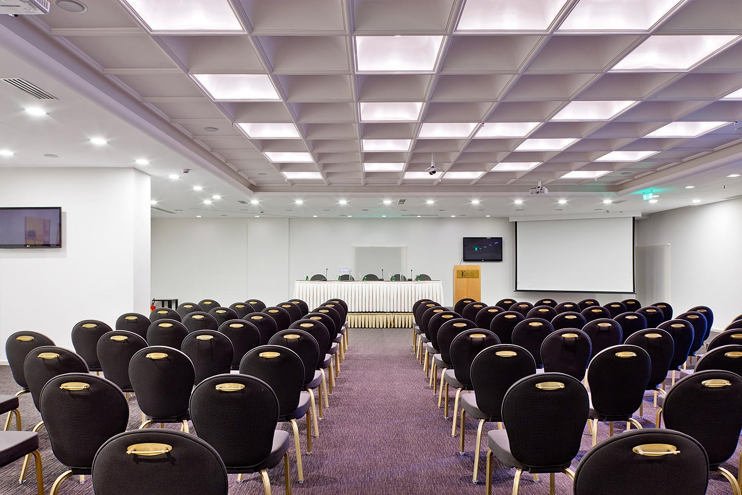Kalavrita Canyon Hotel & Spa konferencijska sala.jpg