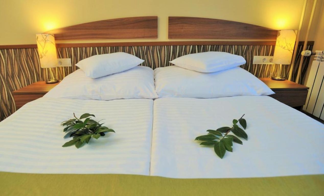 Park Hotel Gyula-Standard room.jpg