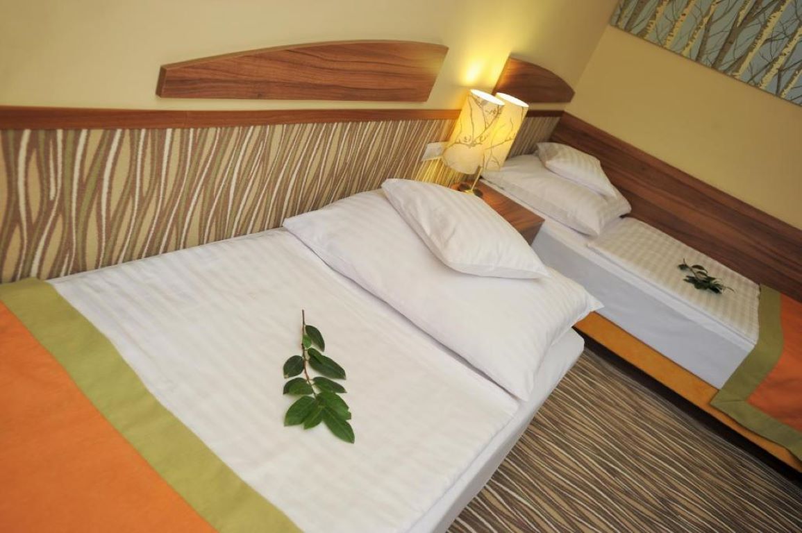 Park Hotel Gyula-Standardna soba odvojeni lezaji.jpg