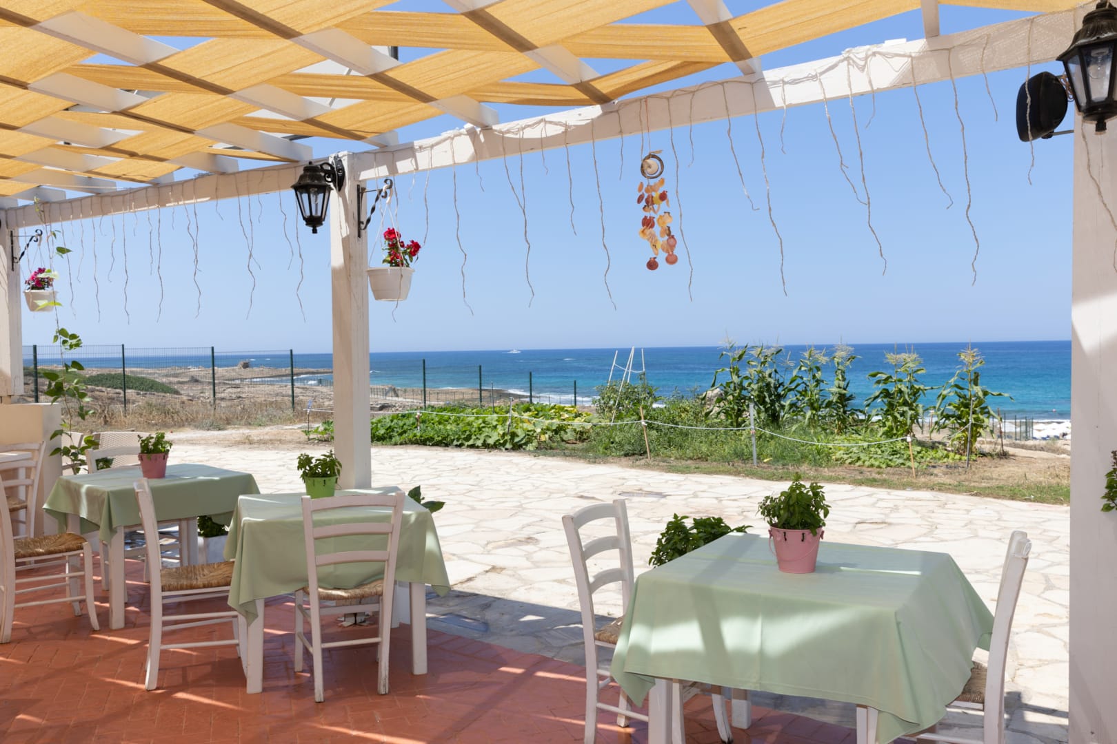 Venus Beach Hotel Gyros bar.jpg