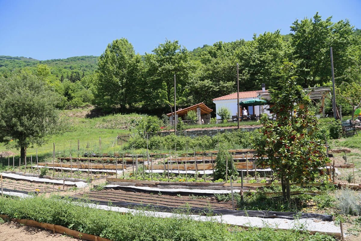 Karaiskos Farm bašta.jpg