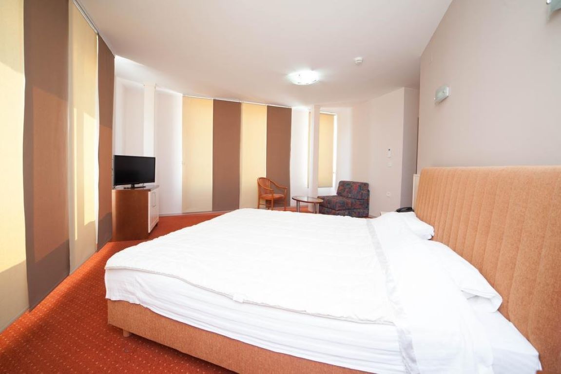 Lebed Hotel-Superior soba.jpg
