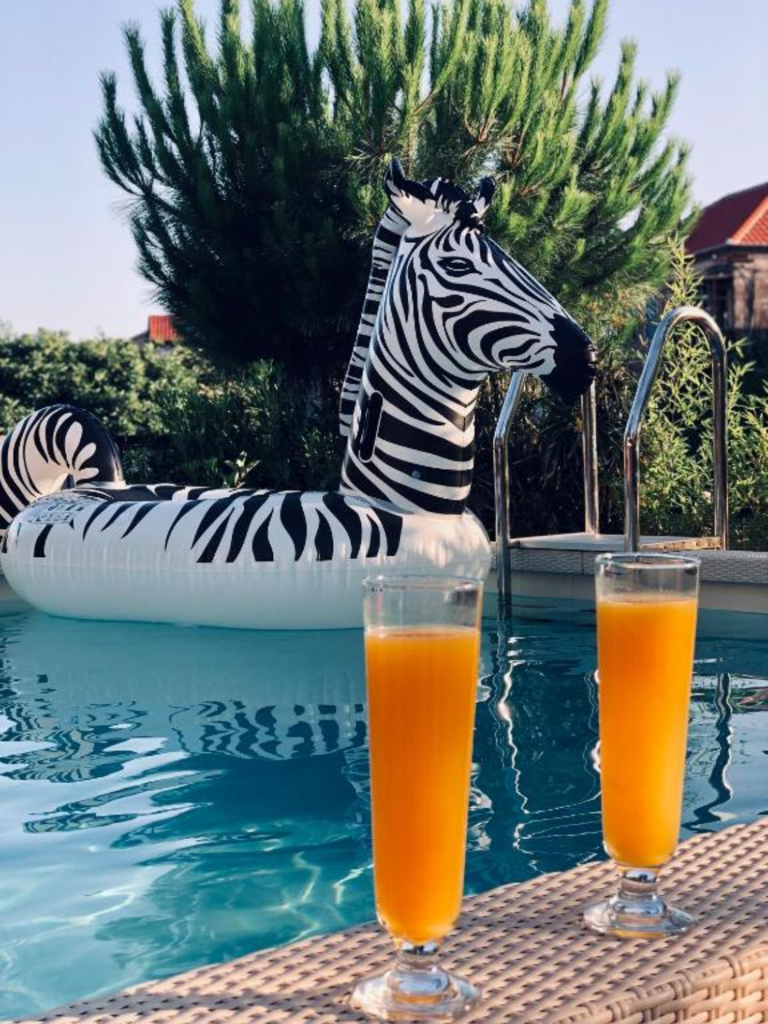 Apart hotel Zebra bazen.jpg