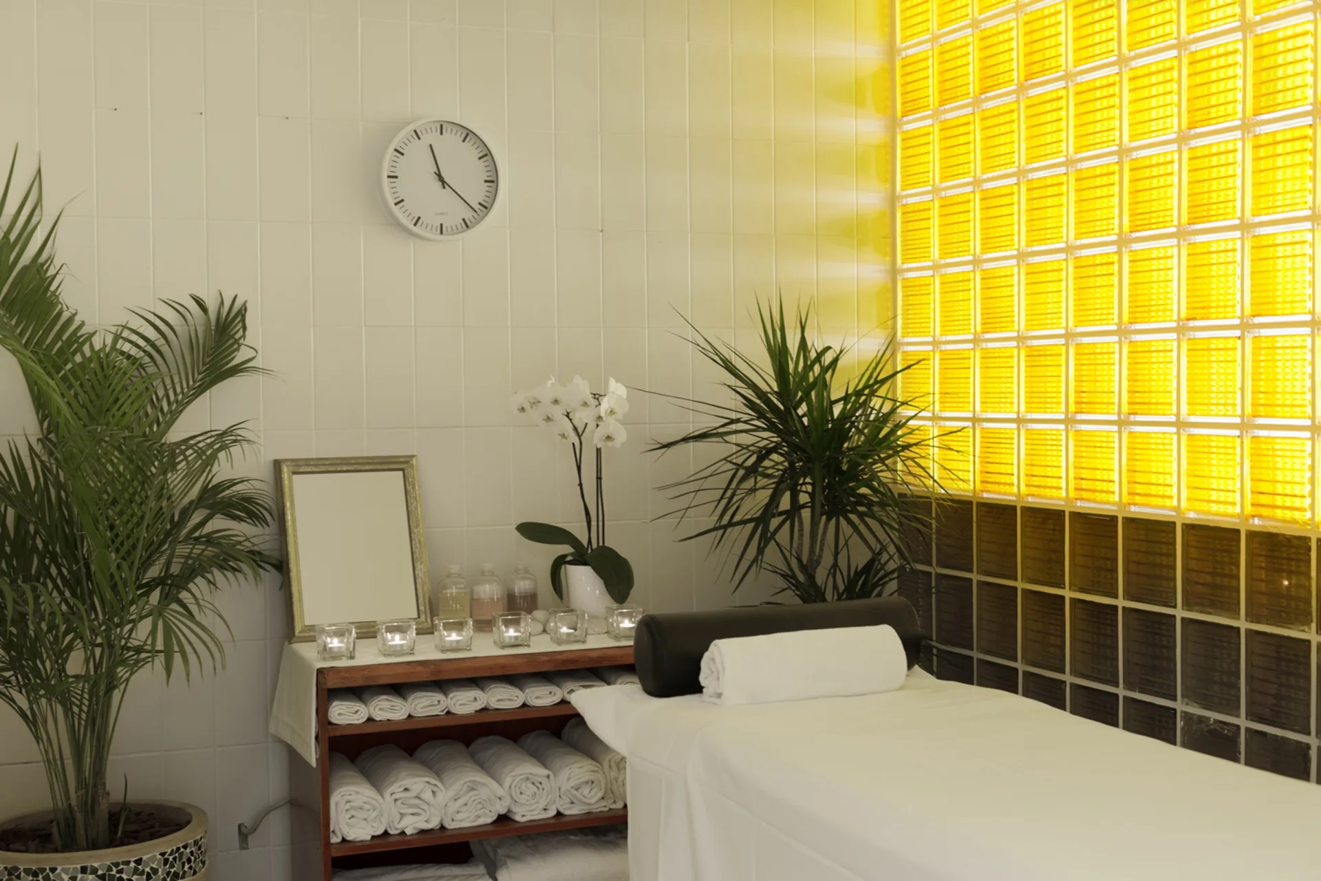 Maistra Select Pineta Hotel-Masaza.jpg