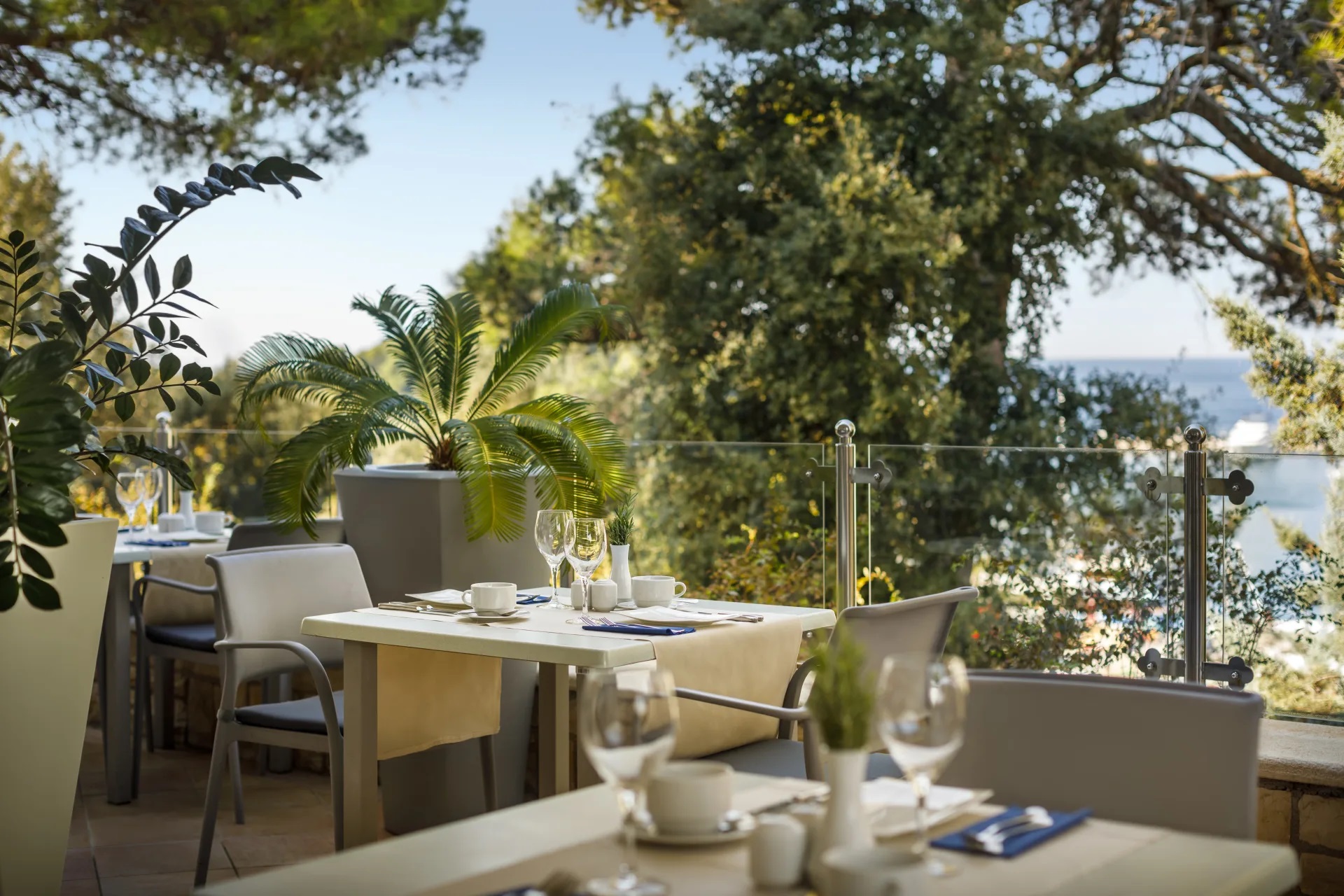 Maistra Select Pineta Hotel-Terasa restorna.jpg