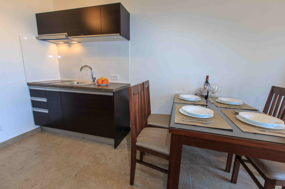 Apartments Kuće Lekovića kuhinja.jpg