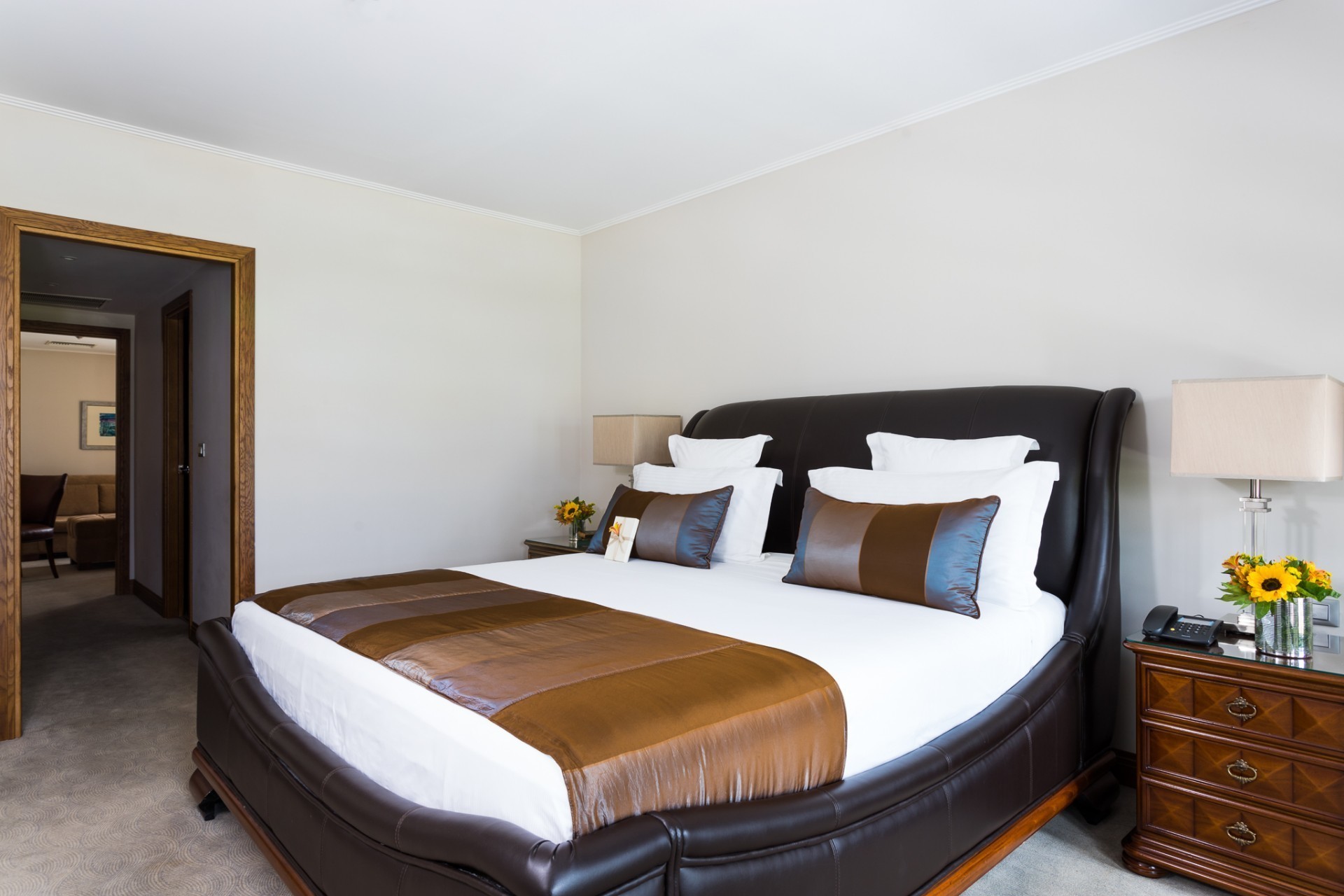 Du Lac Congress & Spa executive apartman.jpeg