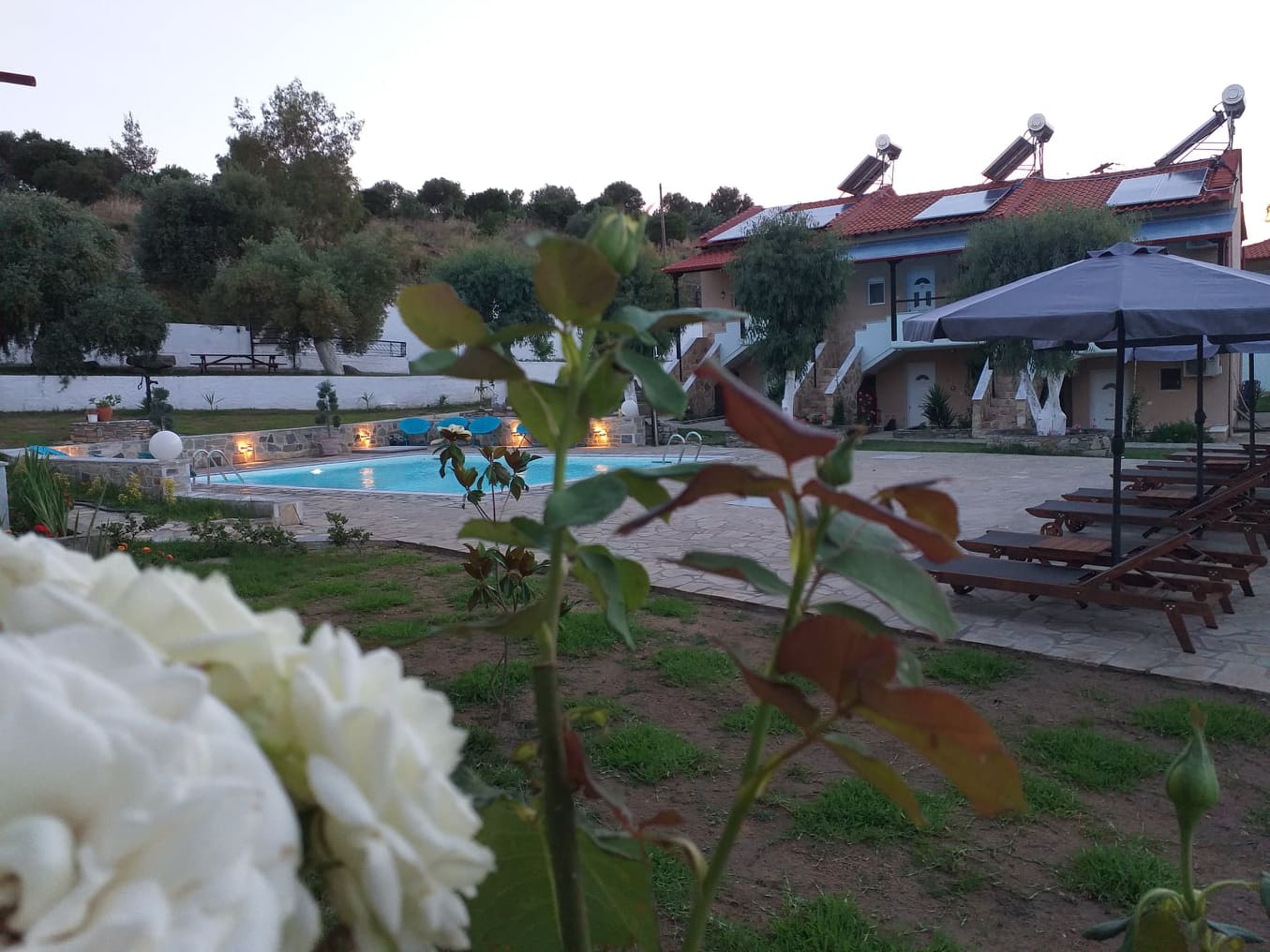 Caretta Village dvorište.jpg