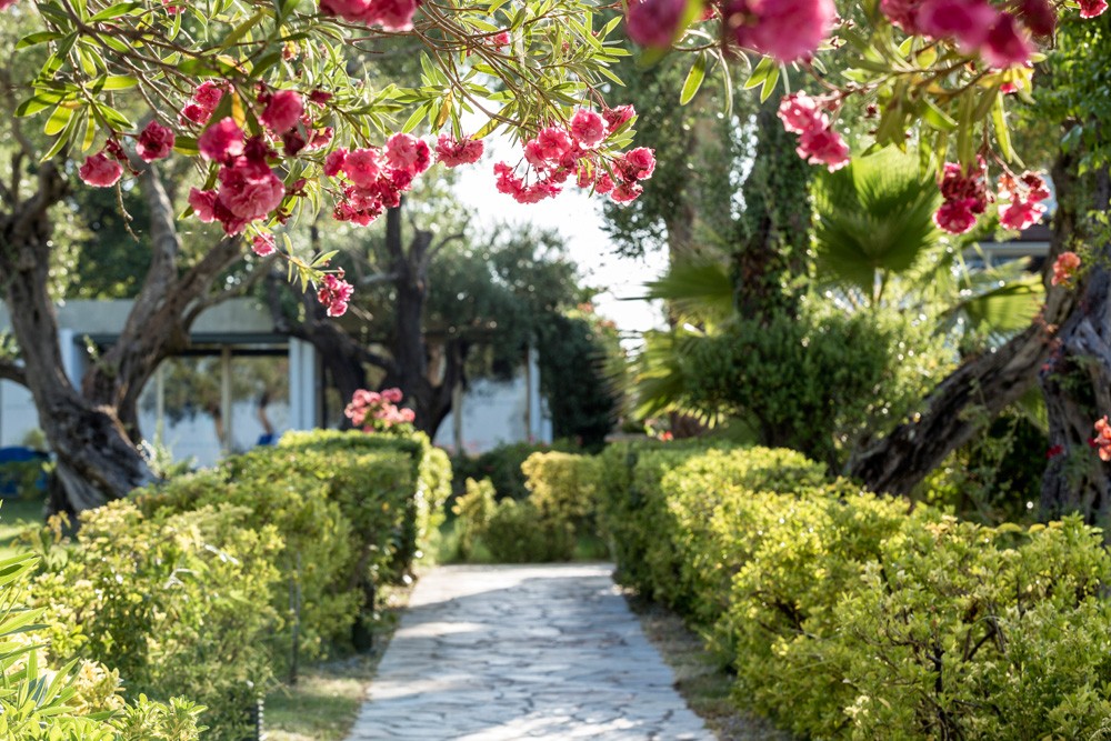 Kontokali Bay Resort _ Spa Garden 3.jpg