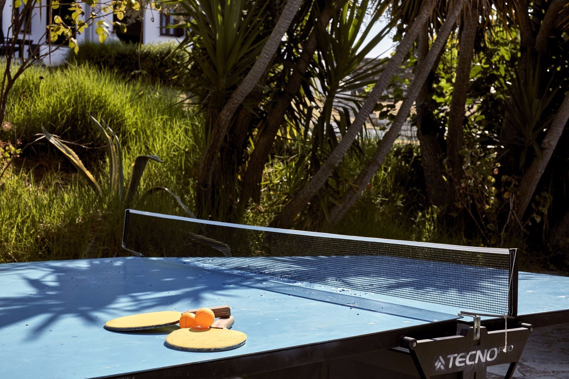 Leda Village Resort table tennis.jpeg