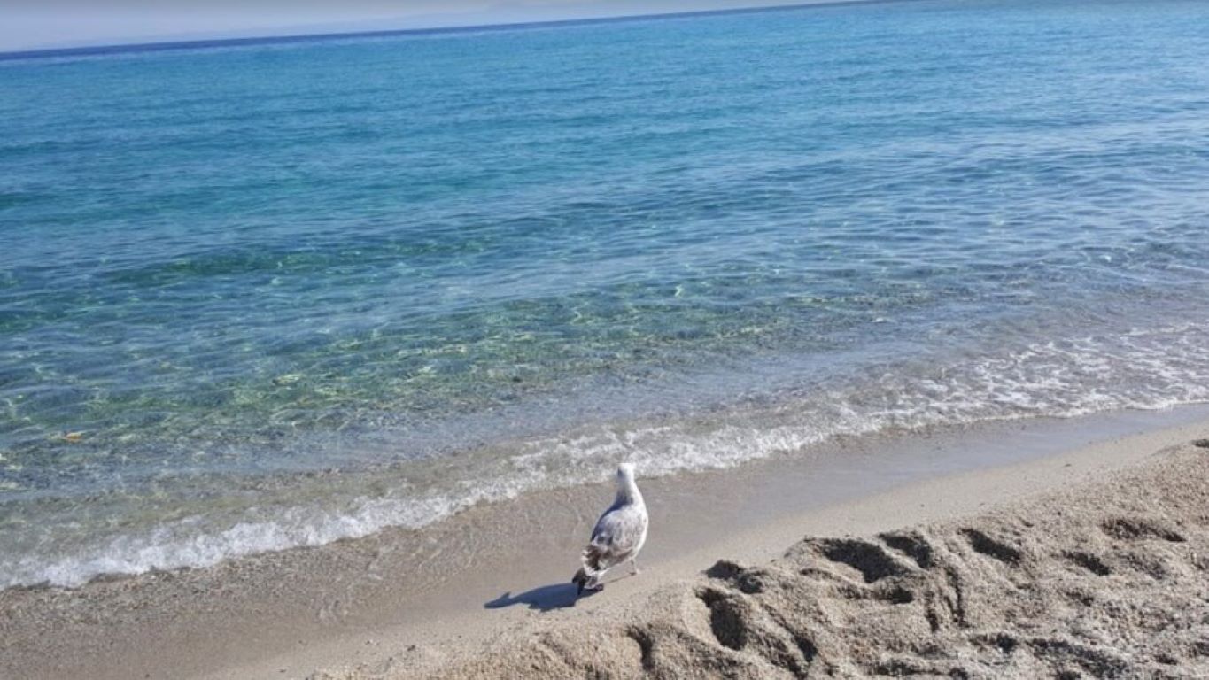 Al Mare-Ulaz u vodu.jpg