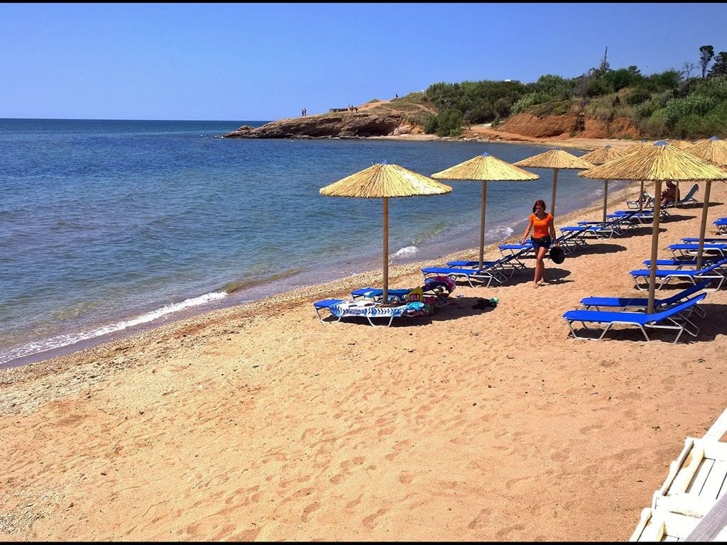 Hotel Alexander hotel Beach _ Spa beach.jpeg