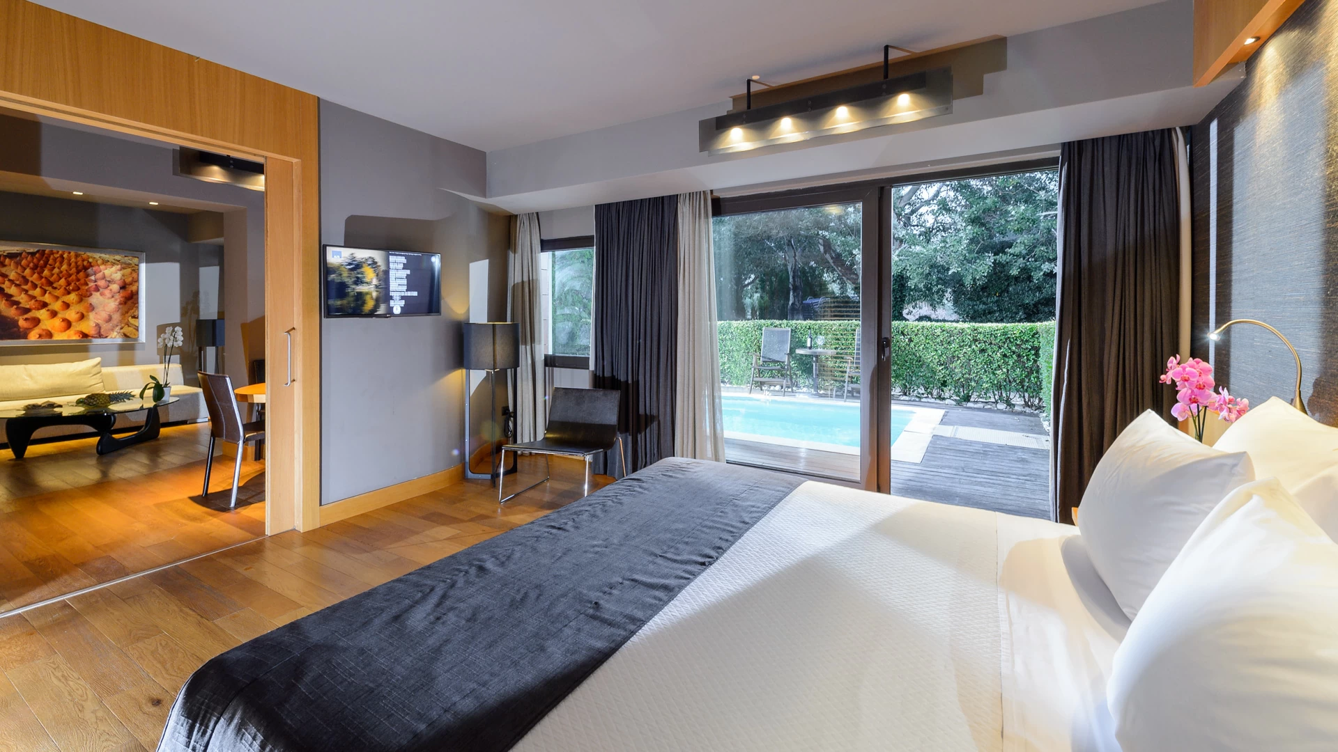 Hotel Alexander hotel Beach _ Spa deluxe suite with private pool 1.jpg