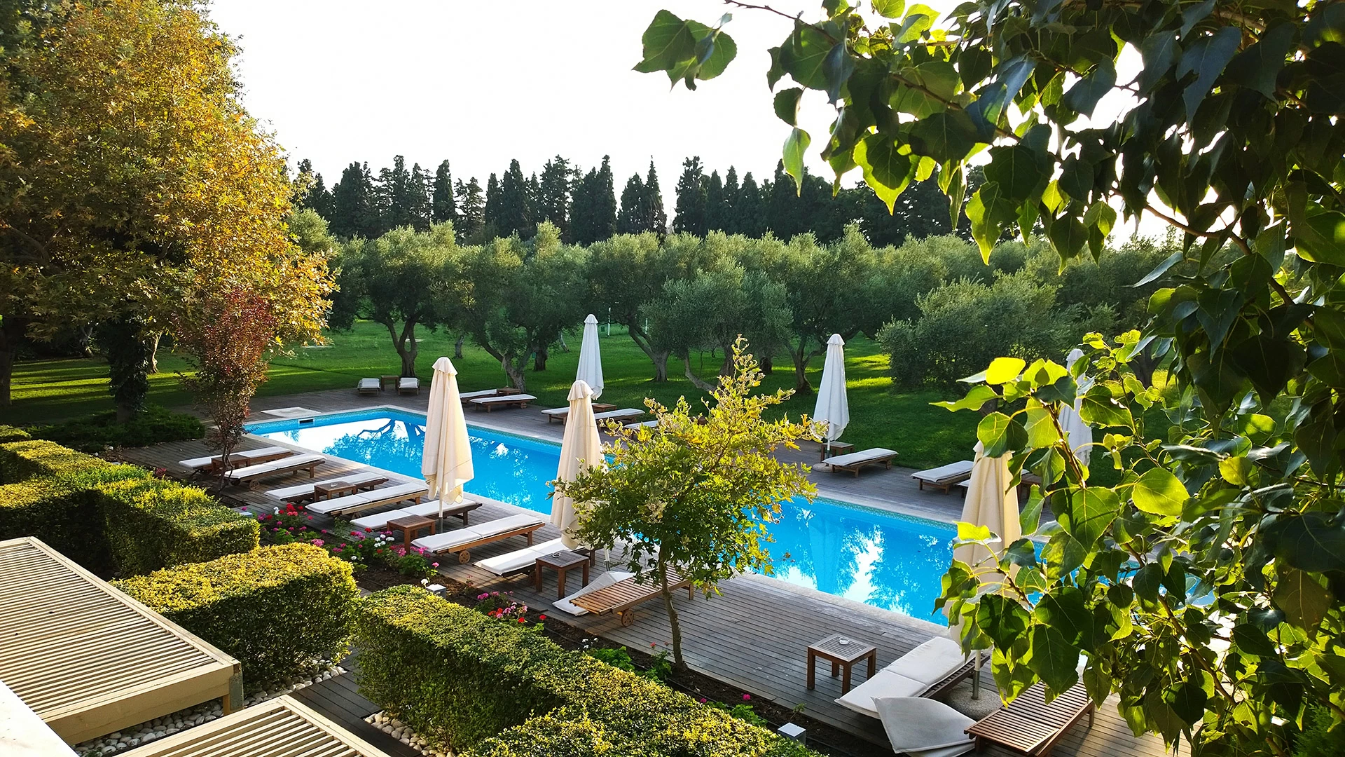 Hotel Alexander hotel Beach _ Spa pool 1.jpg