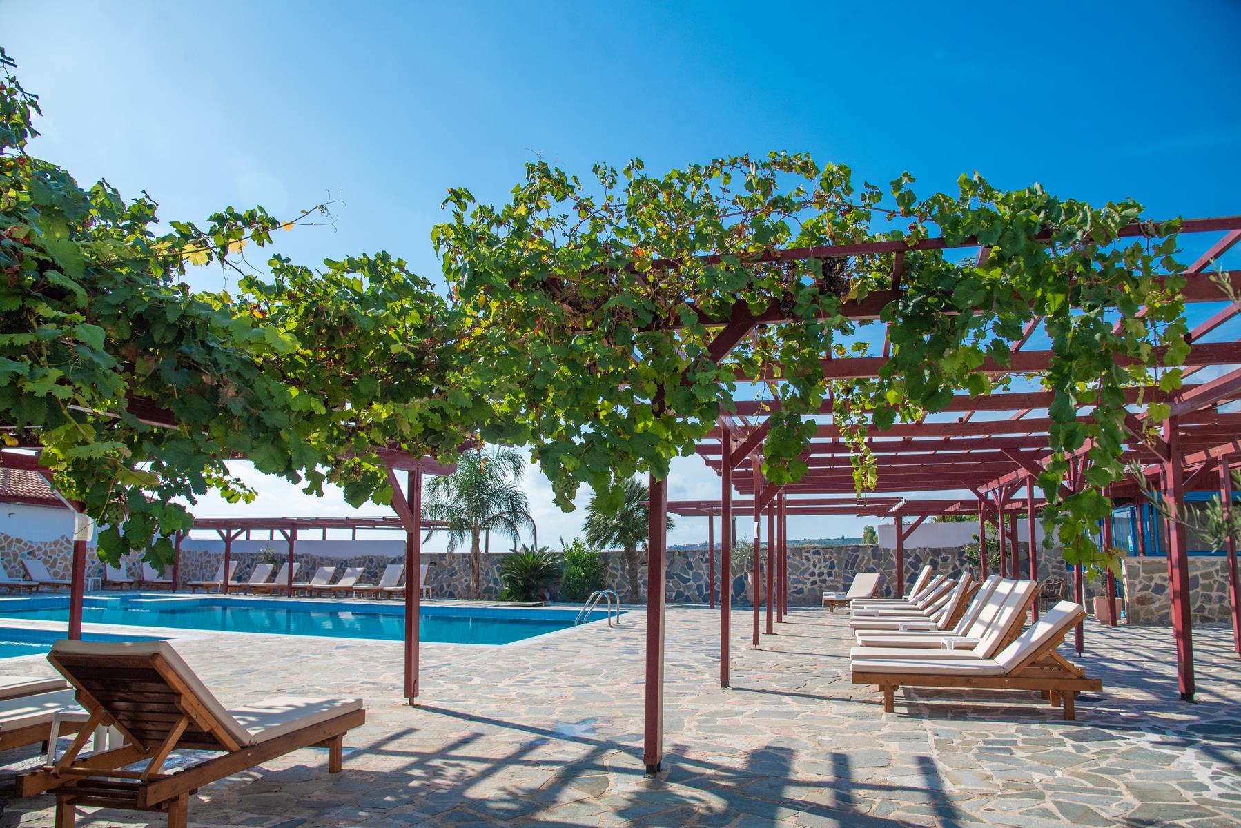 Poseidon Beach Hotel-Oblast oko bazena.jpg