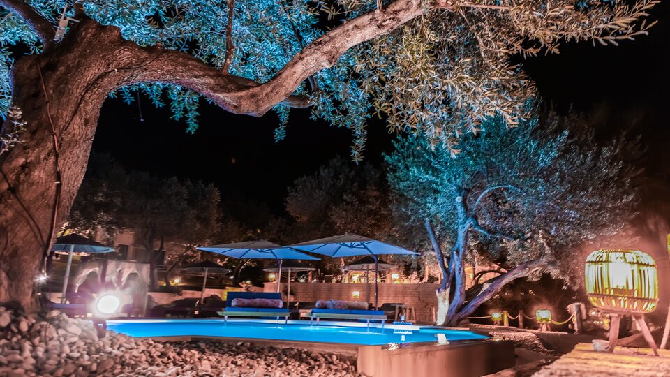 Plataria Sea Side Resort - drveće pored bazena.jpg