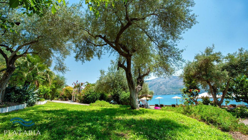 Plataria Sea Side Resort - drveće u bašti hotela.jpg