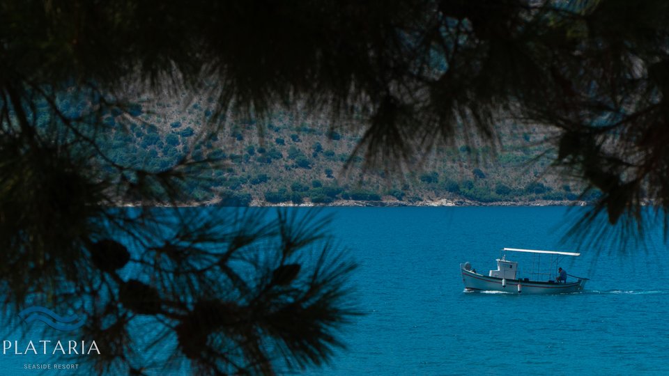 Plataria Sea Side Resort - pogled ka moru kroz borove.jpg