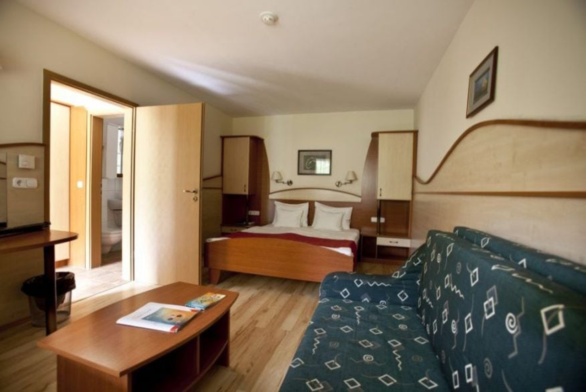 Hotel Makar Sport & Wellness Atrium soba.jpg