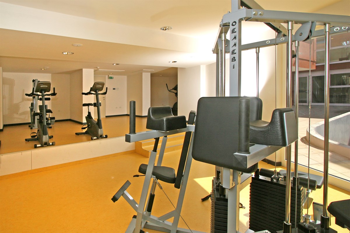 Albatros Plava Laguna Hotel-Teretana.jpg