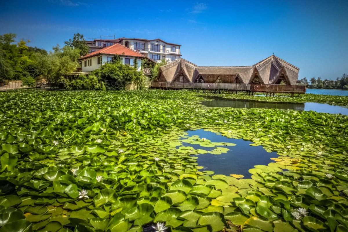 Hotel Insula.jpg