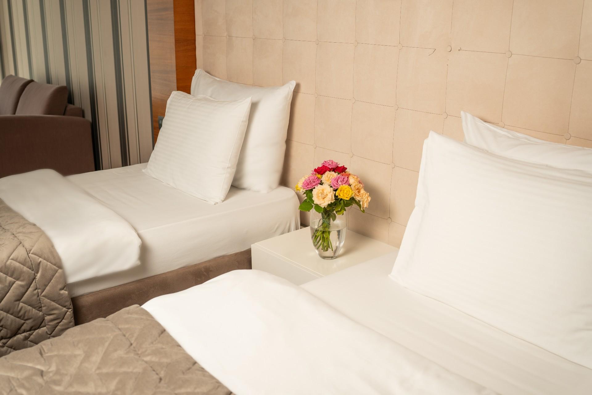 Centra hotel izgled sobe.png