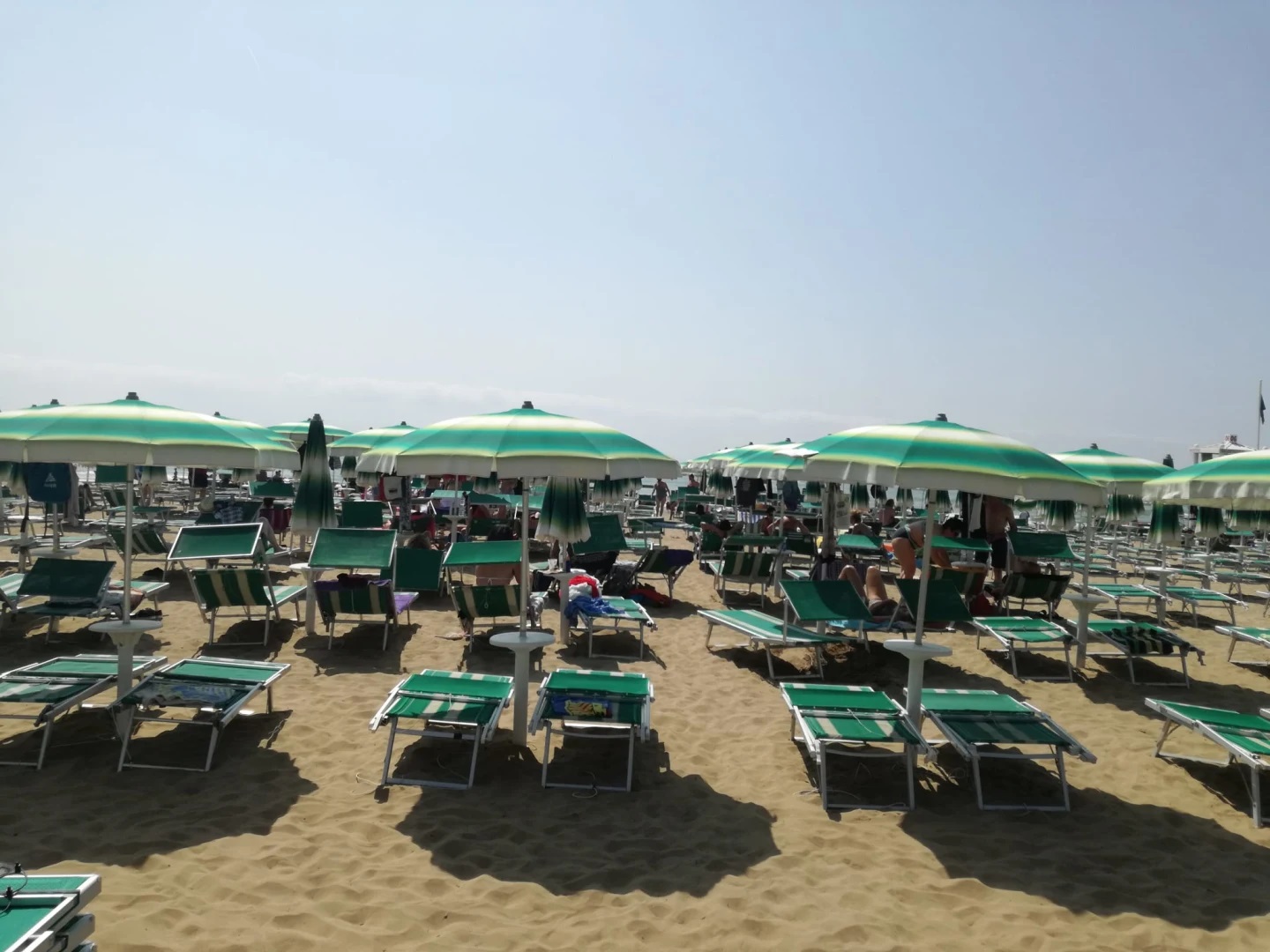 Verdi Hotel-Plaza.jpg