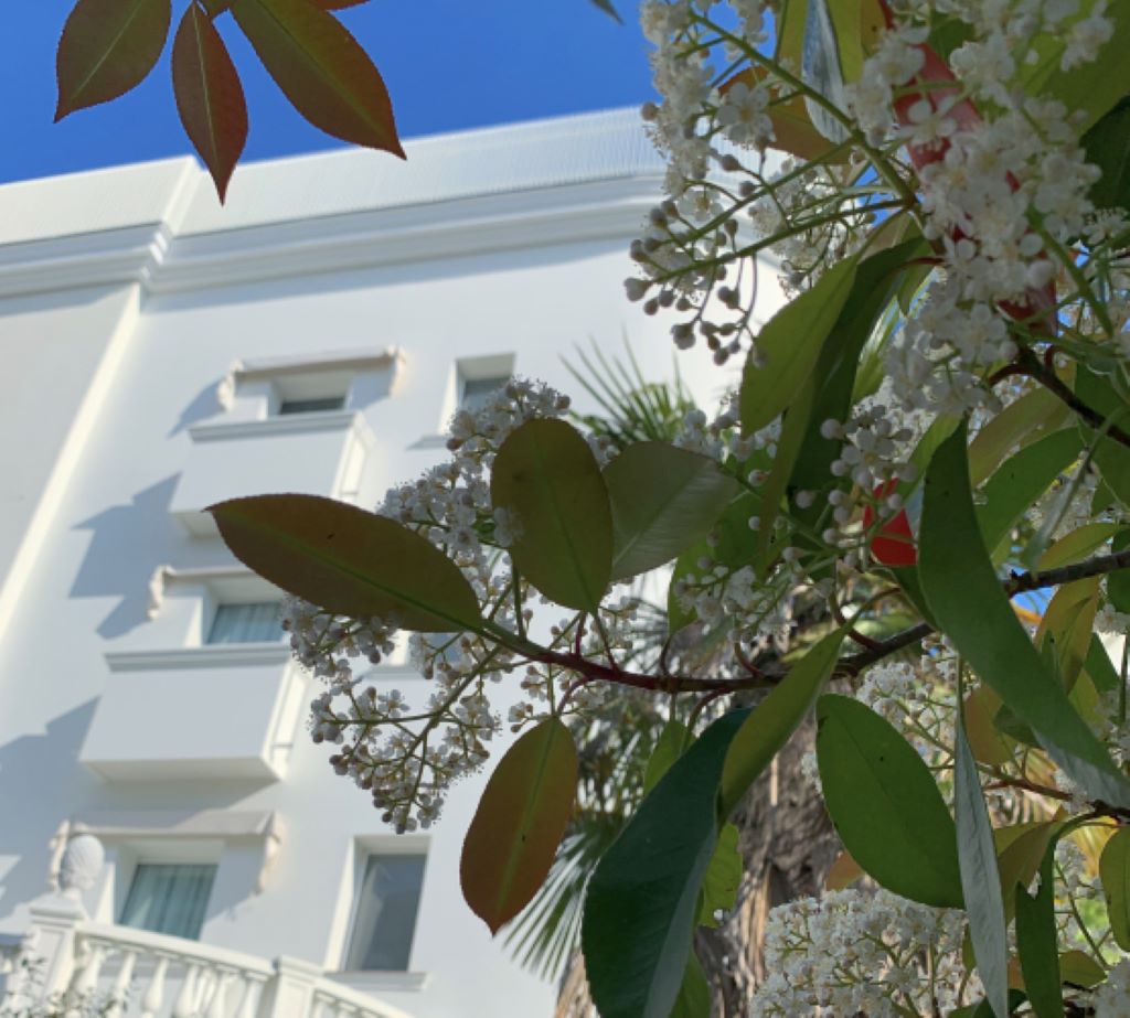 Park Hotel Cellini-Zgrada hotela.jpg