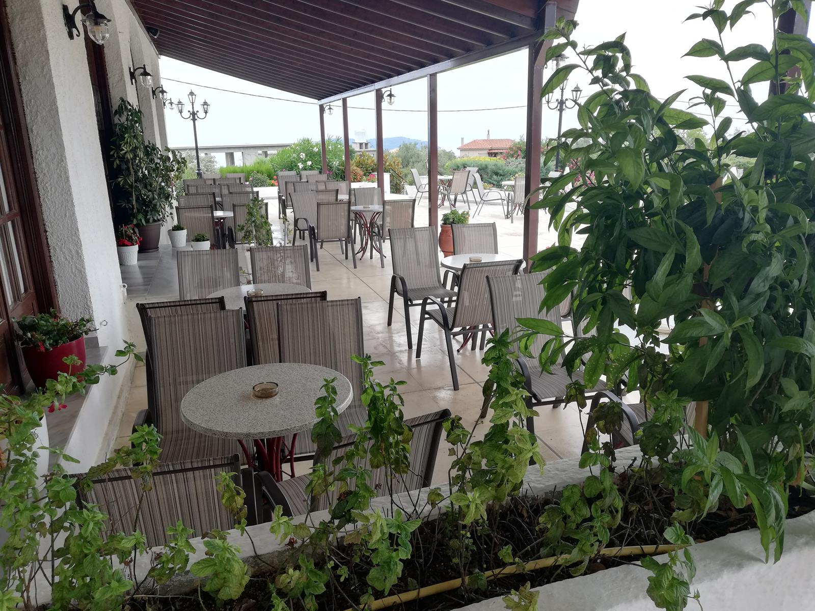 Hotel Paradise terasa.jpg