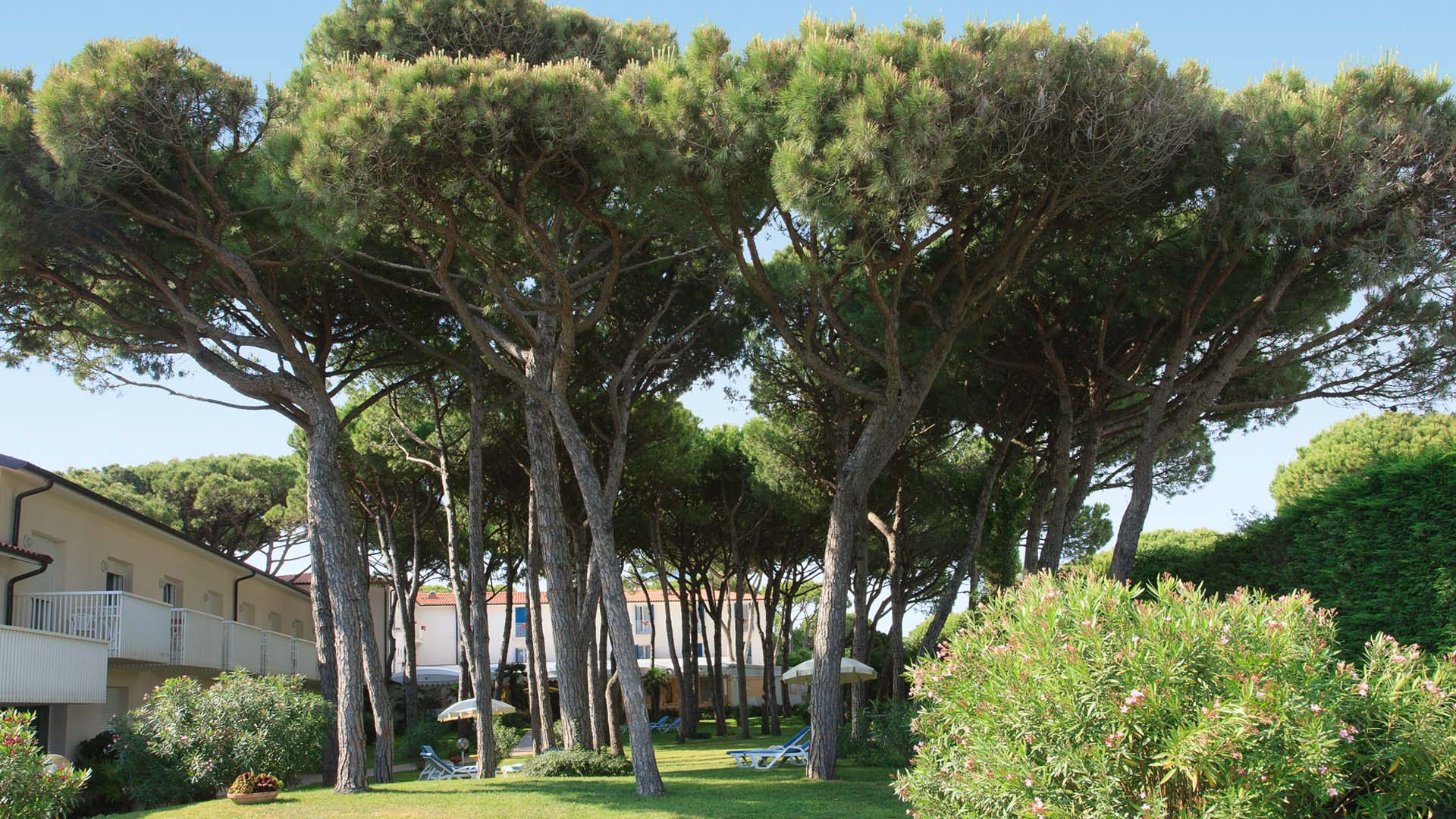 Hotel & Resort Gallini-Basta hotela.jpg