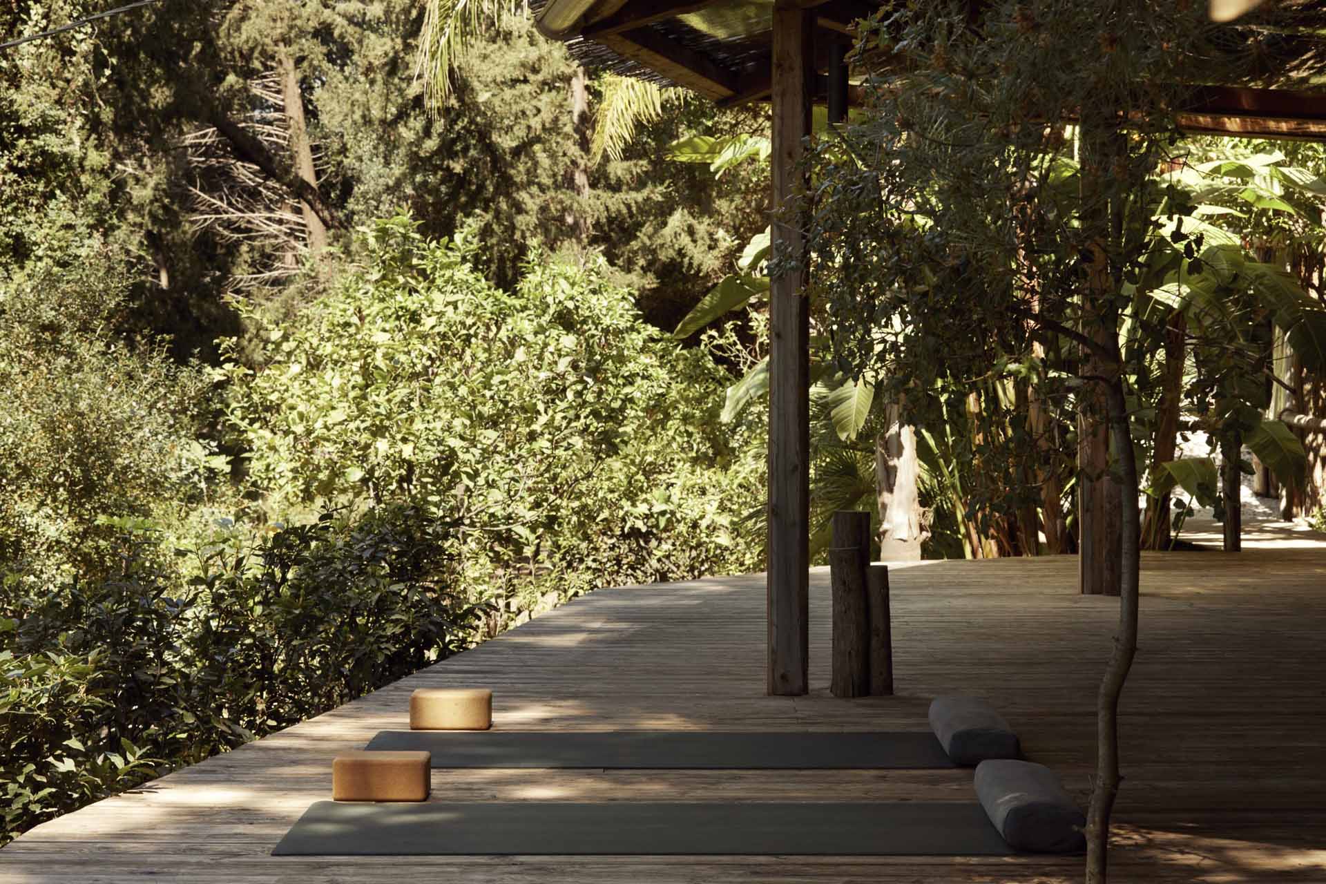 F ZEEN KEFALONIA-zen-bašta.jpg